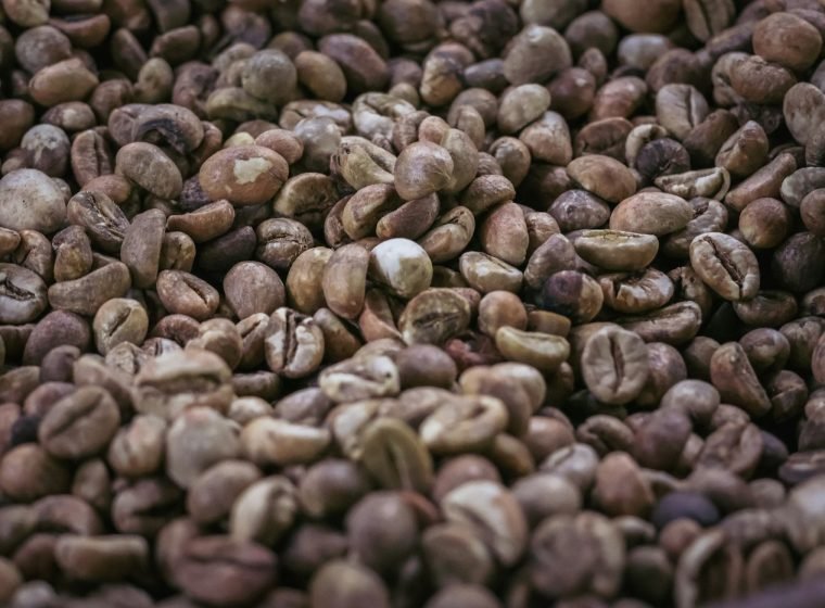 Bowl of roasted coffee beans at a plantation