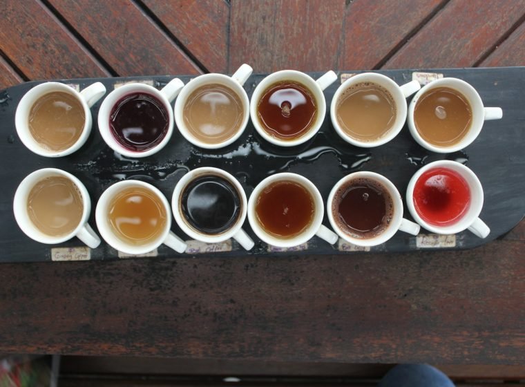Tasting flight of Balinese coffees and teas on a wooden board