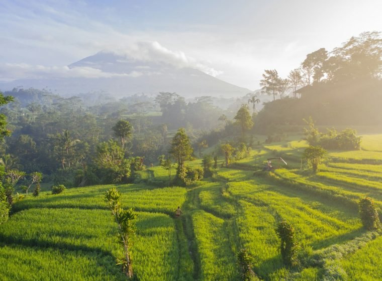 Misty morning over green rice terraces with a volcano behind