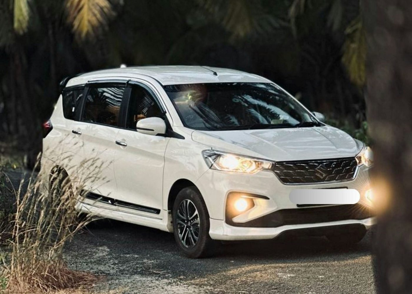 White seven-seater MPV parked under palm trees