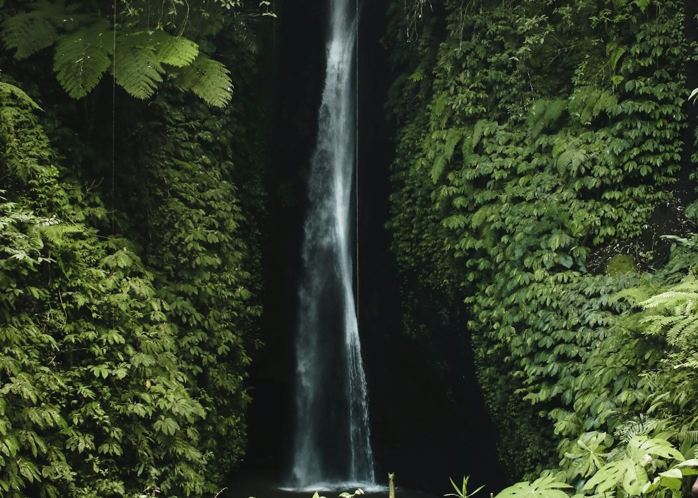 Tall waterfall in a green jungle gorge near Munduk