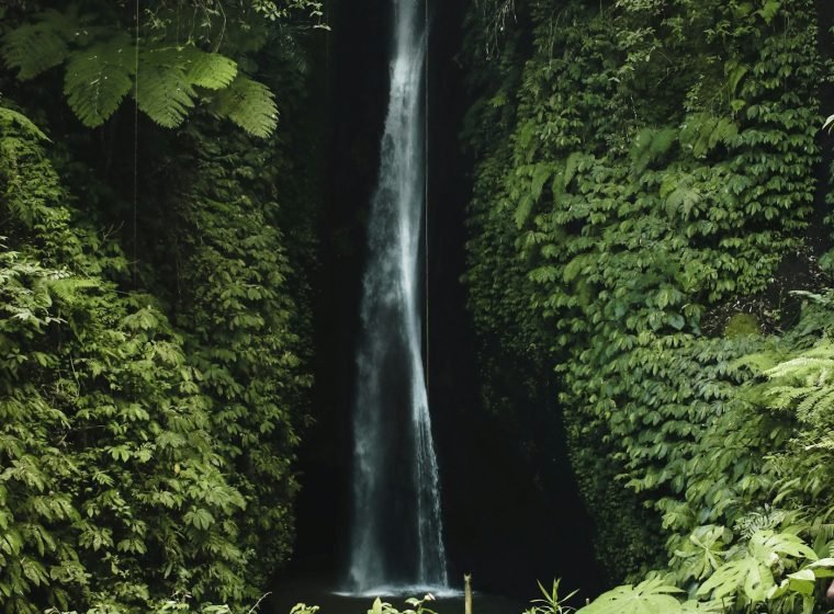 Tall waterfall in a green jungle gorge near Munduk